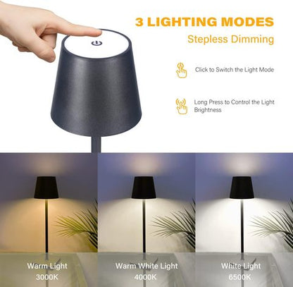 Modern LED Desk Lamp